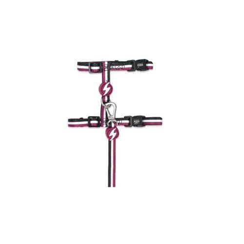 Dashi stripes arnés con correa púrpura y negro para gatos