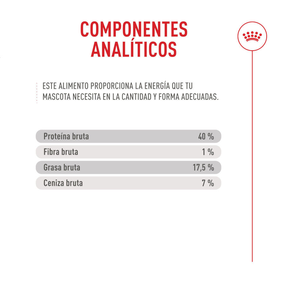 10 kg Royal Canin Fussy Exigent Pienso Ave para gatos, , large Imagen numero 9