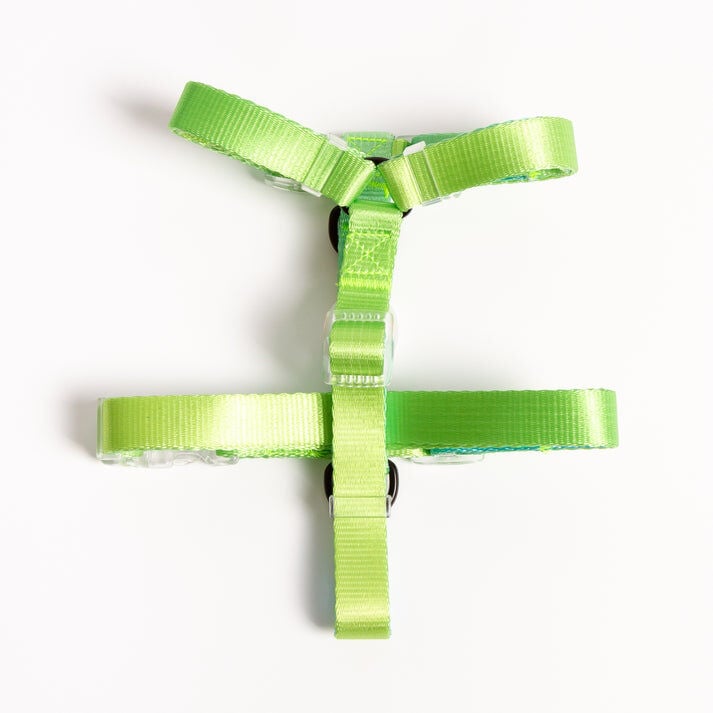 Arn&eacute;s NEON PARTY TROPICAL, , large Imagen numero 2