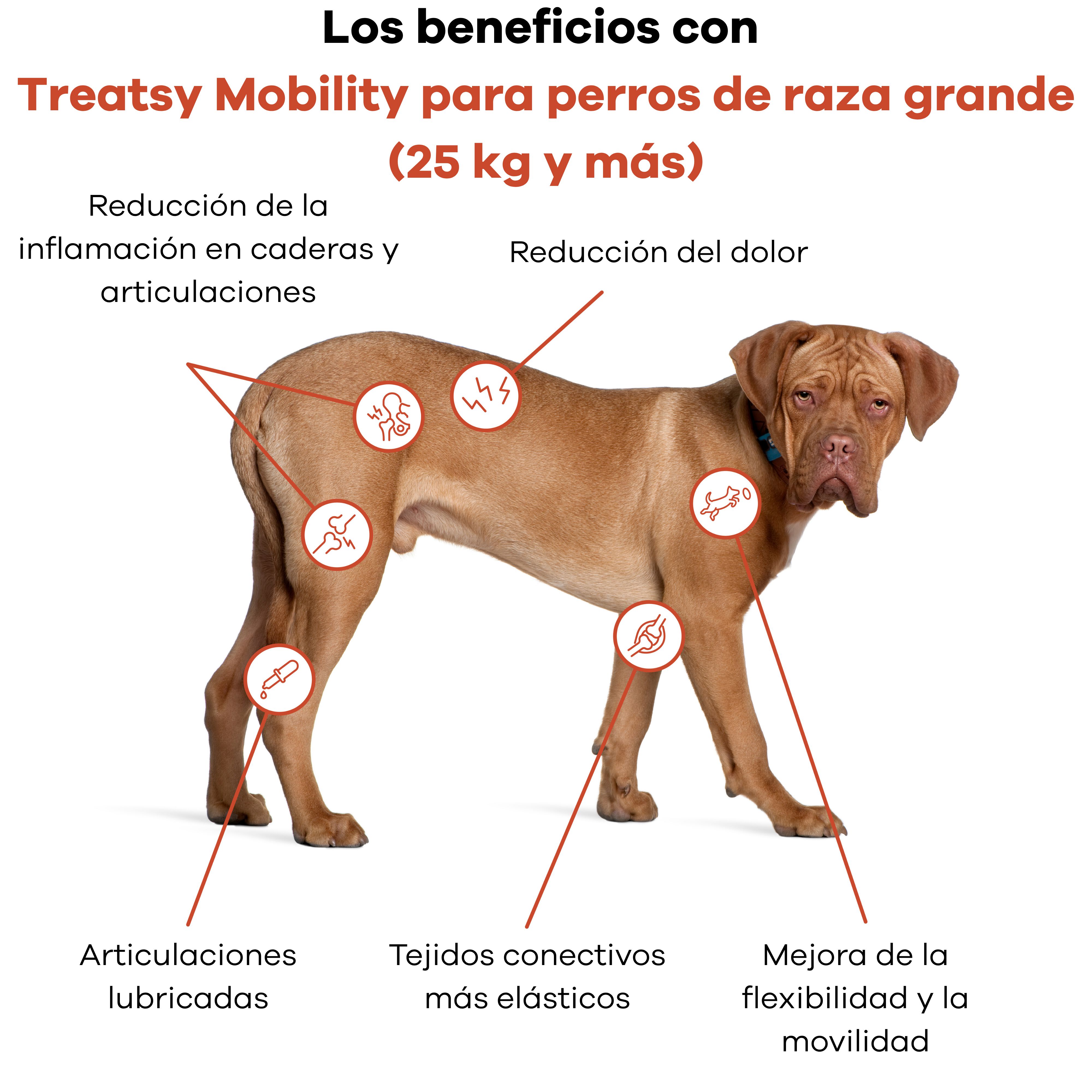 Treatsy Movilidad Perro +25kg &ndash; Complemento Veterinario Articulaciones Razas Grandes &ndash; Col&aacute;geno Tipo II UC-II, Membrana de C&aacute;scara de Huevo &ndash; 30 Snacks &ndash; Hipoalerg&eacute;nico, , large Imagen numero 3