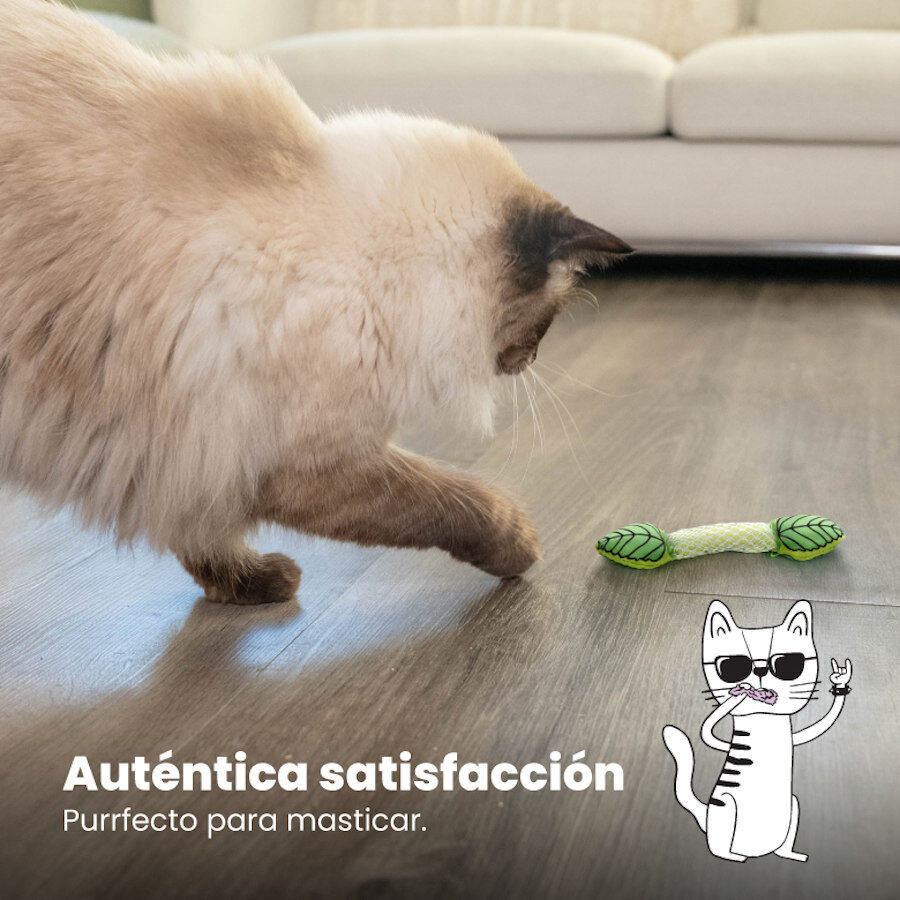 Catstages Fresh Breath Stick Peluche Dental con Menta para gatos, , large Imagen numero 6