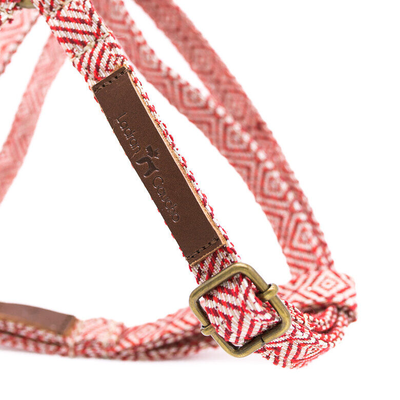 Ladran Gaucho Arn&eacute;s Mambo hecho a mano para perros, , large Imagen numero 3