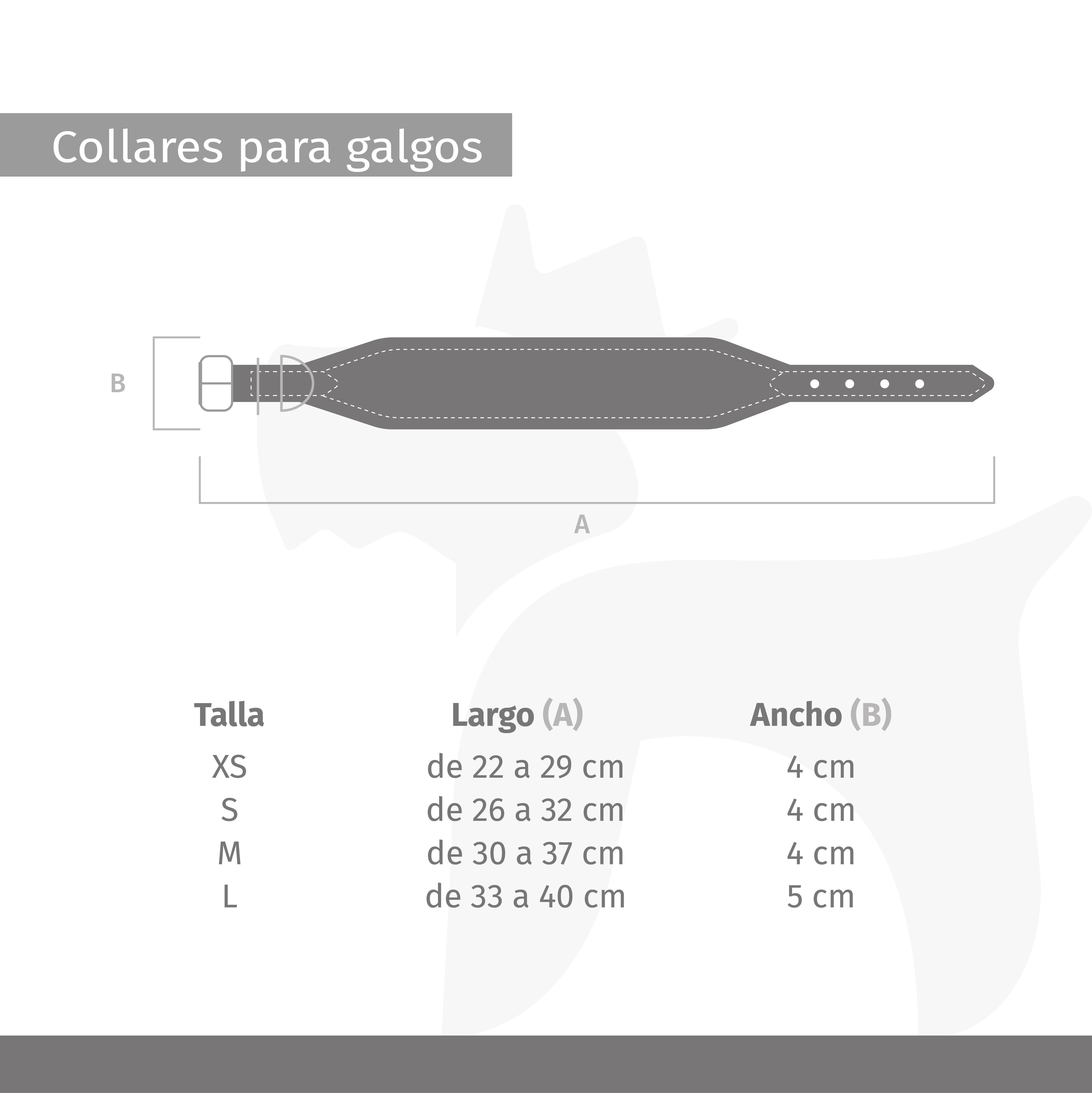 COLLAR MAMBO GALGO - L, , large Imagen numero 4