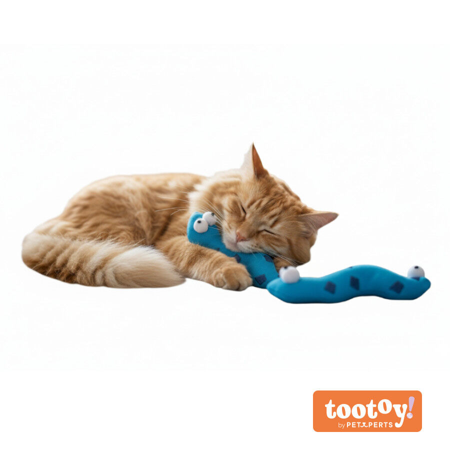 Tootoy! Pack de 2 Serpientes de Tela con Catnip Azules para gatos, , large Imagen numero 9