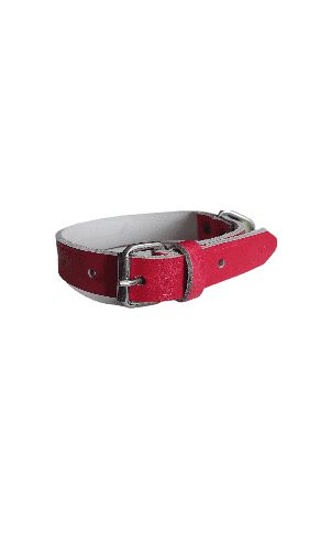Seleiro Collar Cuero color Rojo para perros thumbnail