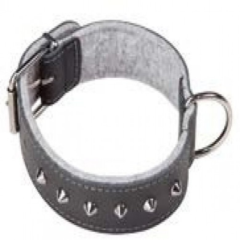 Arppe Choppers Collar con Fornitura para perros, , large image number null