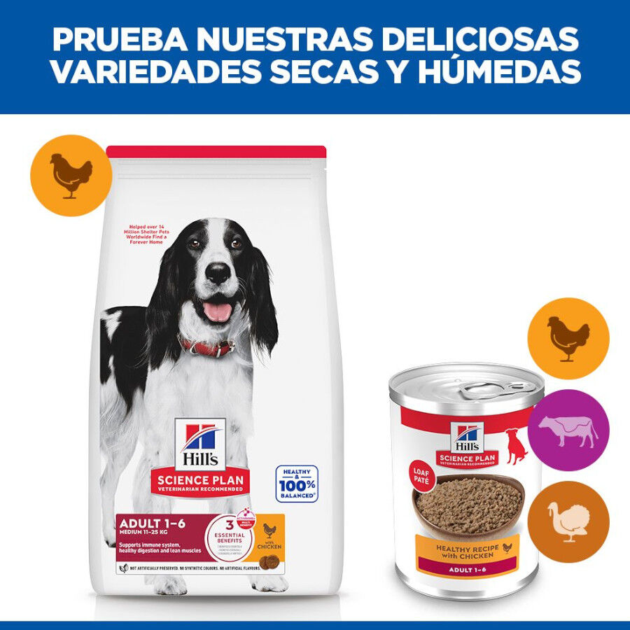 370 g Hill's Science Plan Adult pollo lata para perros, , large Imagen numero 6