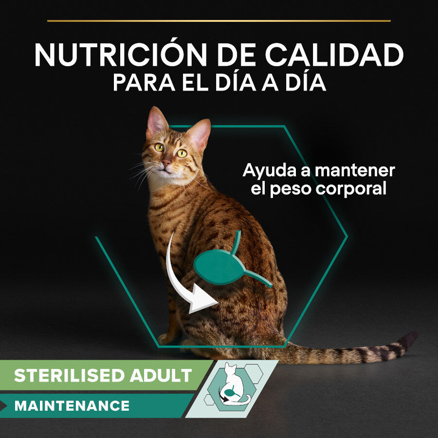 Pro Plan Adult Sterilised Maintenance Pollo y Buey en Salsa sobre para gatos thumbnail