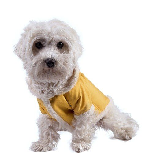 Abrigo impermeable Kenia color Mango, , large Imagen numero 8