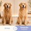 Bloob 2 en 1 Champ&uacute; & Acondicionador para perros, , large indicador imagen numero 4