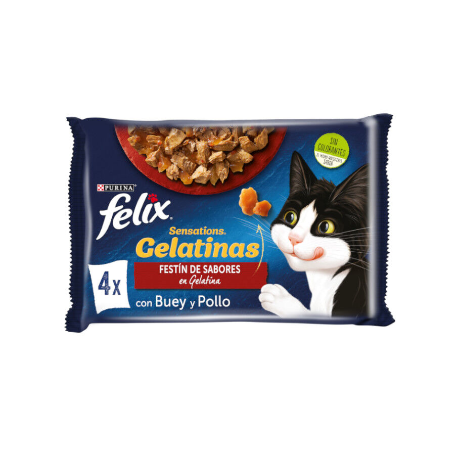 Felix Sensations Festín de Sabores sobres en gelatina para gatos thumbnail