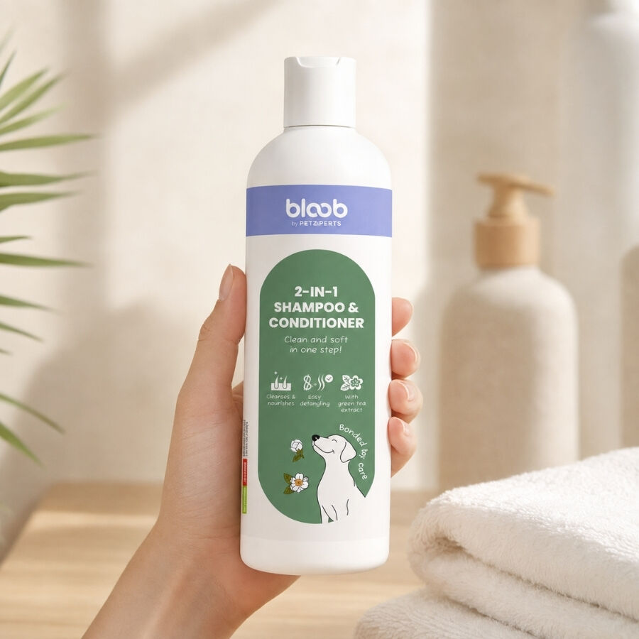 Bloob 2 en 1 Champ&uacute; & Acondicionador para perros, , large Imagen numero 1