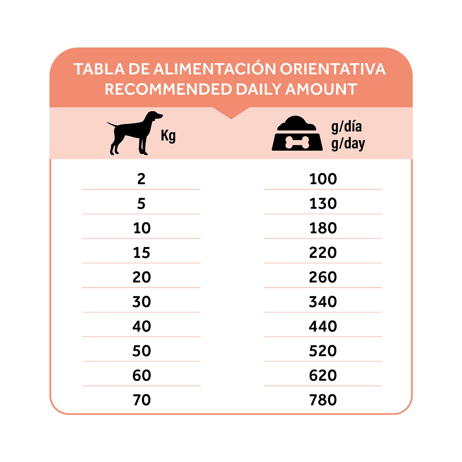 Dibaq Natural Moments 5 Star Mountain, , large Imagen numero 3