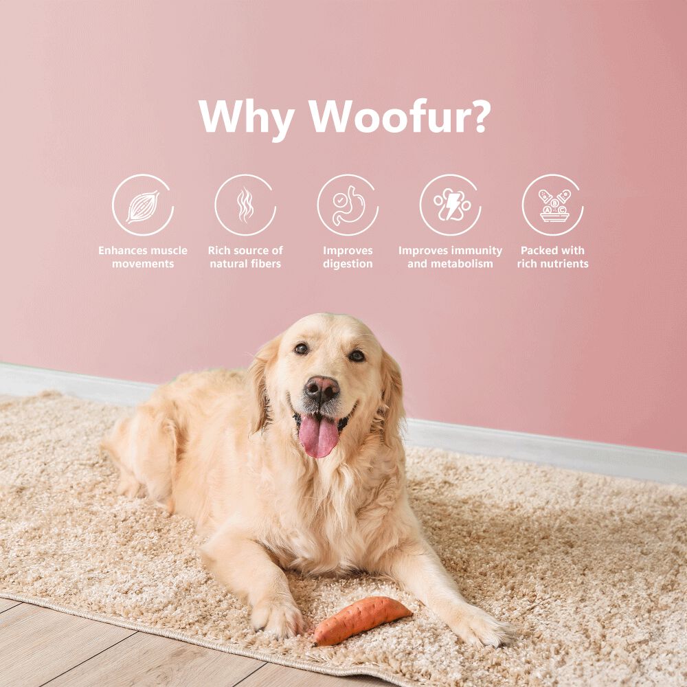 Delicias de carne seca: pollo y batata (50 g/1,76 oz), , large Imagen numero 5