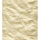 Versele-Laga Nutribird Papilla para crías, , large image number null
