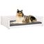 Cama Para Perros, , large indicador imagen numero 9