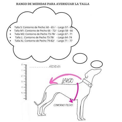 Galguita amelie Softshell abrigo impermeable azul y gris para perros galgos, , large Imagen numero 2