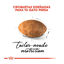 10 kg Royal Canin Persian pienso para gato adulto persa, , large indicador imagen numero 5