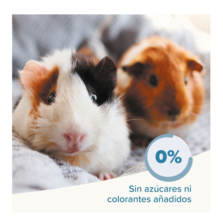 Beaphar Care + Pienso para cobayas, , large Imagen numero 5