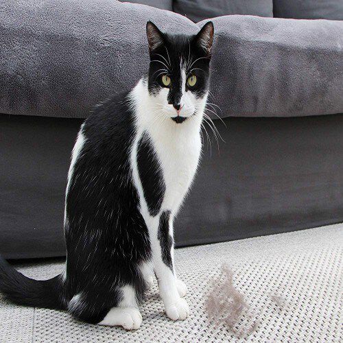 Cepillo Fuminator para gatos de pelo corto, , large Imagen numero 5