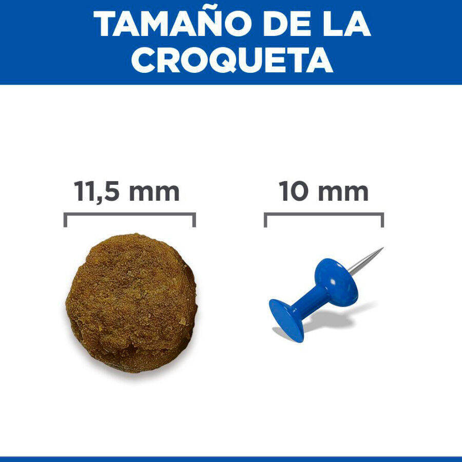 18 kg Hill's Science Plan Adult Medium Cordero y Arroz pienso para perros, , large Imagen numero 8