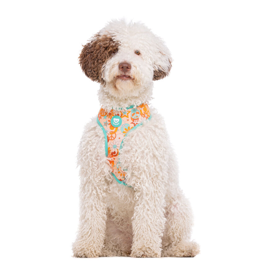 Dukier Peace Arn&eacute;s Reversible para perros, , large Imagen numero 3