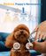 Oneisall - Cortapelos para perros - Recortador de animales - Cortapelos - Inal&aacute;mbrico - Recargable, , large indicador imagen numero 3