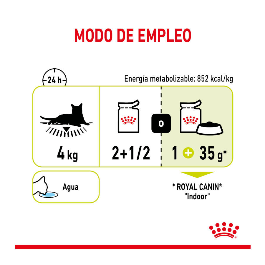 Royal Canin Adult Sensory Smell salsa sobre para gatos thumbnail