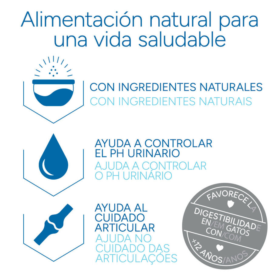 Criadores Cient&iacute;fico Senior +12 Pescado pienso para gatos, , large Imagen numero 6
