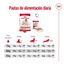 2 x 15 kg Royal Canin Medium Adult pienso para perros ¡Pack ahorro!, , large indicador imagen numero 11