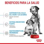 Royal Canin Medium Starter Mother&Baby pienso para perros , , large image number null