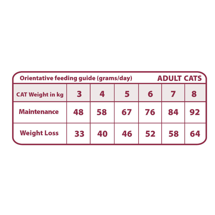 Natural Greatness Obesity & Diabetic Pavo y Pollo Pienso Hipoalerg&eacute;nico para gatos, , large Imagen numero 2