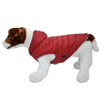 Loyal abrigo lia rojo para perros