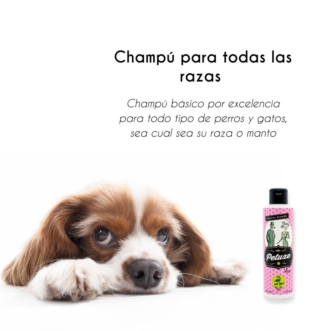 Petuxe pack champ&uacute; y acondicionador para perros de agua y pelo rizado, , large Imagen numero 4