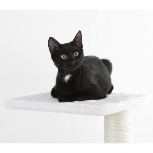 Kerbl venus &aacute;rbol rascador de sisal blanco para gatos, , large Imagen numero 4