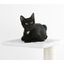 Kerbl venus árbol rascador de sisal blanco para gatos, , large indicador imagen numero 4