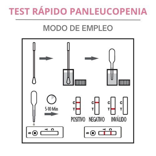 Lab4pets test r&aacute;pido panleucopenia para gatos, , large Imagen numero 3