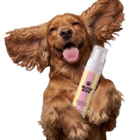 Glow Dog Champ&uacute; Seco para perros &middot; Limpieza sin agua para patas y cuerpo &middot; Ideal para cachorros y perros que no se pueden ba&ntilde;ar &middot; Con Aloe Vera y Urea &middot; No deja rastro &middot; Sin aclarado &middot; 200 ml