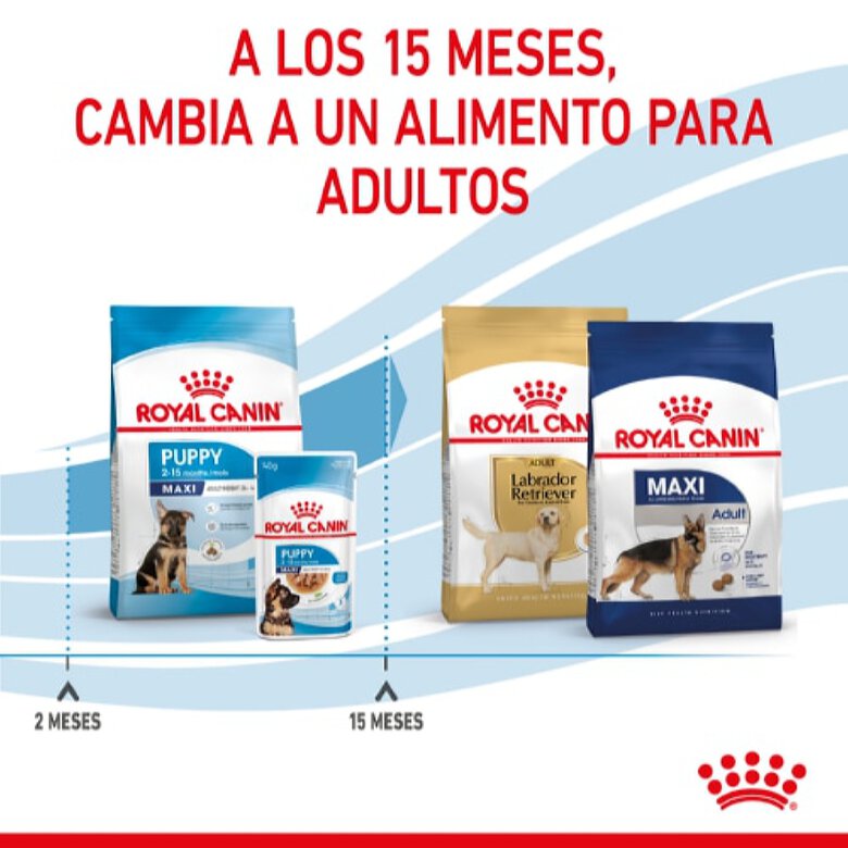 Royal Canin Puppy Maxi pienso para perros, , large image number null