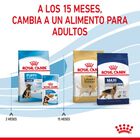 Royal Canin Puppy Maxi pienso para perros, , large image number null