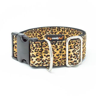 CandyPet Collar Click Modelo Leopardo para Perros