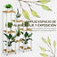Outsunny Soporte para Plantas Estantería para Flores Soporte para Exhibición de Macetas con 7 Estantes y Marco de Acero para Interiores Exteriores 65x23x94,5 cm Natural y Blanco, , large indicador imagen numero 4