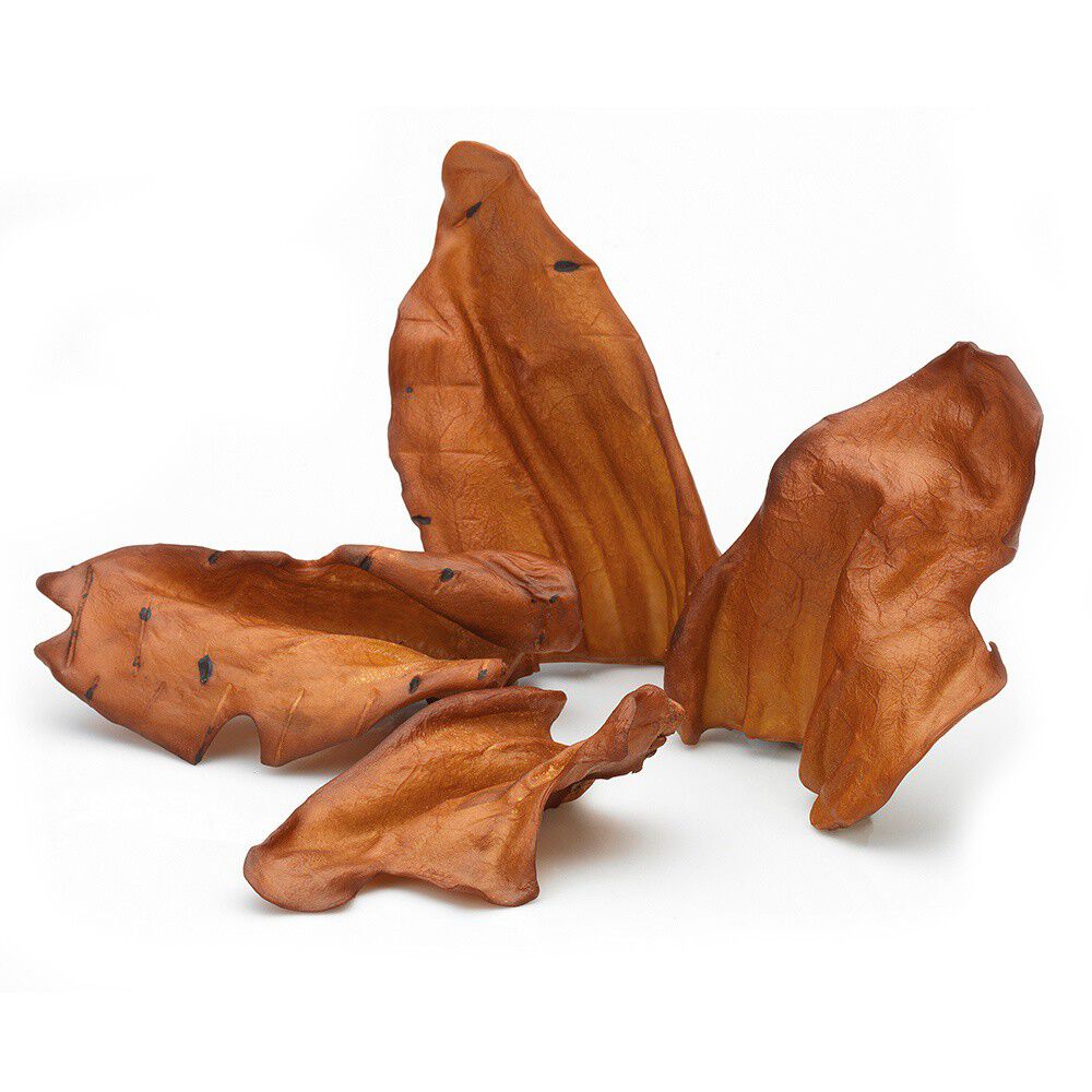 Orejas ligth para perros  sabor Ternera, , large Imagen numero 2