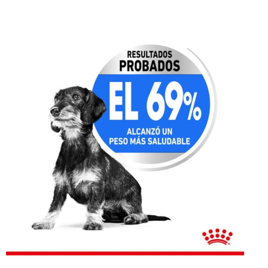 Royal Canin Light Weight Care X-Small pienso para perros thumbnail