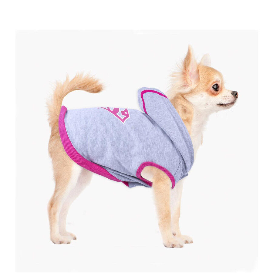 DC Comics Superman Sudadera para perros, , large Imagen numero 3