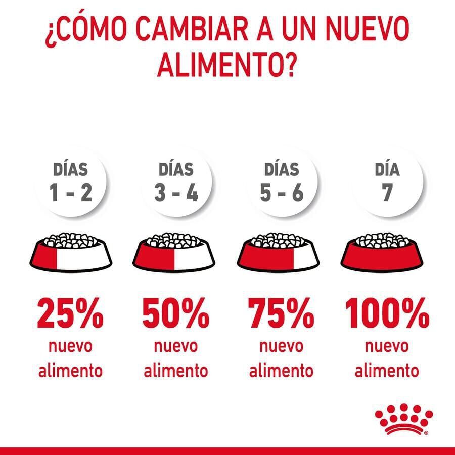 Royal Canin Urinary pienso para gatos thumbnail