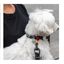 Collar para perro Groc Groc lucky color Gris, , large indicador imagen numero 2