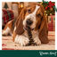 35 g Wonder Christmas Barritas Doglerone Snack para perros, , large indicador imagen numero 1