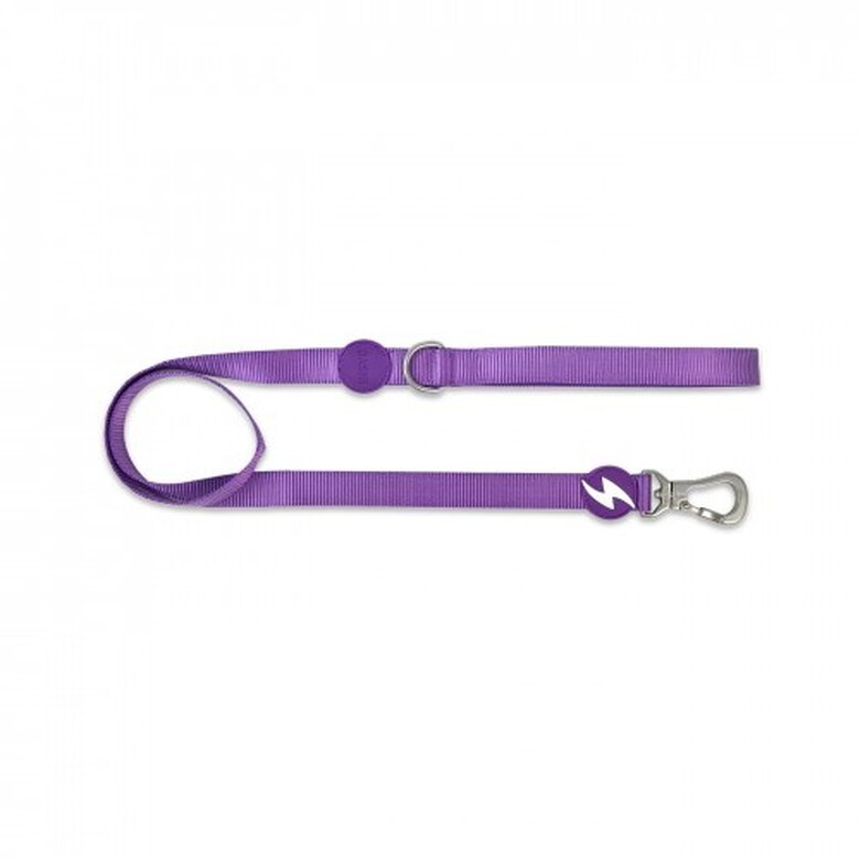 Dashi correa de nylon púrpura para perros, , large image number null
