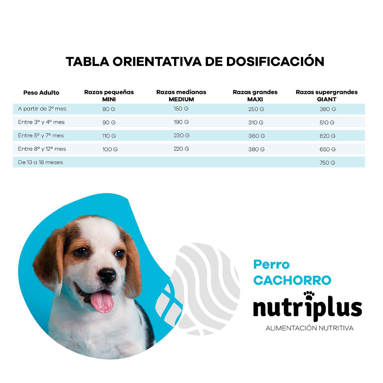 Pienso para cachorros sabor Pollo thumbnail